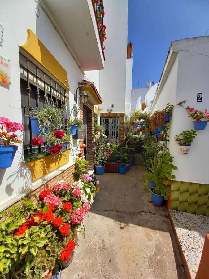 Brand New - Casa El Cuartel With Private Seaview Rooftop Conil De La Frontera Dış mekan fotoğraf