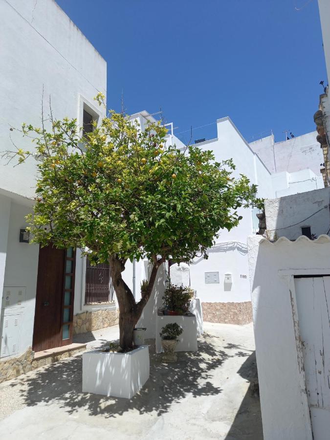 Brand New - Casa El Cuartel With Private Seaview Rooftop Conil De La Frontera Dış mekan fotoğraf